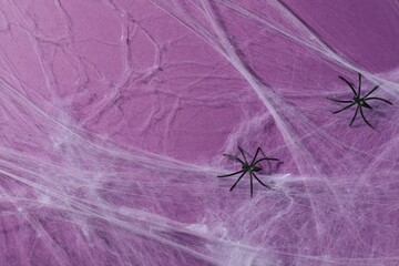 Wall Mural - Cobweb and spiders on violet background, top view