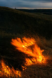 Fototapeta  - Wiosenne wypalanie Traw