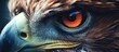 A detailed close-up view of the eye of a majestic eagle, showcasing the intricate patterns and intense gaze