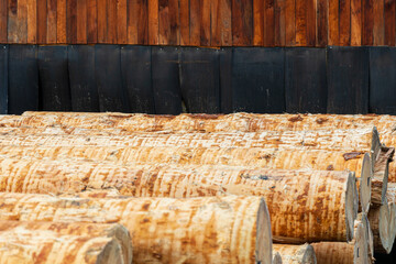 Pine logs lie on the sawmill. Wood industry. Sawmill plant