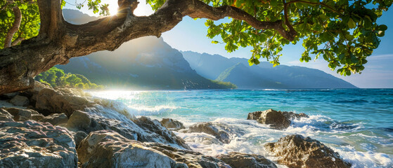 Canvas Print - A tree is in the foreground of a beautiful beach scene