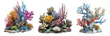 Fototapeta Do akwarium - Collection of sea corals on a transparent or white background.