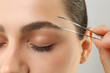 © New Africa - Eyebrow correction. Young woman with tweezers on light grey background, closeup