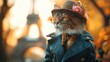 Elegantly dressed kitten modeling on the streets of Paris
