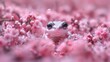  a close up of a frog in a field of flowers with water droplets on it's face and eyes.