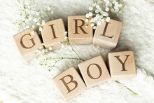 Wooden Blocks Spelling Out The Words GIRL And BOY Lying Flat On A White, Fluffy Blanket With White Flowers.  Baby Gender Reveal Cubes For Baby Shower And Photoshoot.