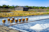 Fototapeta Londyn - Scene of salt fields preparing for harvest in Ly Nhon, Can Gio district of Ho Chi Minh City, Vietnam