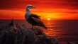 heron on sunset, Silhouetted against the fiery sunset, a solitary Northern gannet perches on a rocky ledge. Its beak points seaward, as if whispering secrets to the horizon.