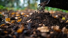 Spread The Rotted Compost On The Ground As A Fertilizer For Trees