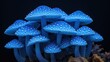 a group of blue mushrooms sitting on top of a pile of dirt next to a pile of sea corals.