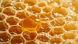 Golden honeycombs with dripping sweet honey. Organic natural honeycomb close-up.