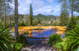 Fototapeta Góry - Immerse in the unique iron-rich waters of Parque Terra Nostra, Sao Miguel, a haven of thermal springs amidst the verdant Azorean gardens.