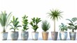A row of potted plants on a white surface, suitable for interior design projects