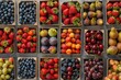 Various fruits neatly arranged in boxes. Suitable for healthy eating concepts