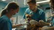 Veterinary professionals examining a small dog in a clinic. Close-up shot with medical equipment. Pet care and veterinary concept