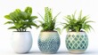 Three potted plants arranged on top of each other. Suitable for home decor or gardening concepts