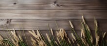 Tall Grass Close Up By Wooden Wall