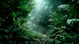 Dark tropical green forest with a path, Monstera and Palm plants, trees, light coming throught the trees