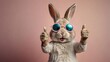 Cute hare in sunglasses isolated on a corolla color background.