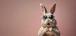 Cute hare in sunglasses isolated on a corolla color background.