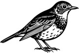 Fototapeta  - Robin bird silhouette  vector art illustration