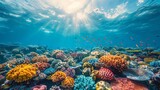 Fototapeta Do akwarium - Sunlight illuminates water, coral reef teeming with marine invertebrates