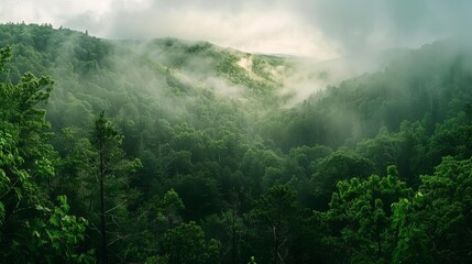  Panoramic view of misty forest hills in Great Smoky Mountains National Park
