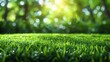 The background image is the blur vision of grass in the morning of a sunny day. It is part of a worlds that embraces the concept of modern life, eco spring, summer friday, and happy easter. It is a