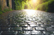 Sunlit Cobblestone Path with Glistening Raindrops Amidst Greenery, A Peaceful Urban Escape