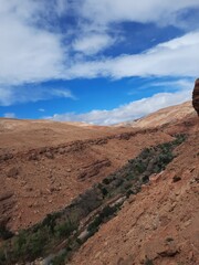 Wall Mural - view of the volcano teide