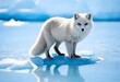 A stunning capture of an arctic fox standing atop a frozen ice sheet, its white fur standing out against the vibrant blue glacier.