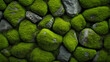Mossy stone closeup texture background