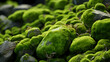 Mossy stone closeup texture background