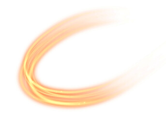 Canvas Print - abstract light lines of movement and speed