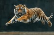 A tiger is leaping through the air, levitation tiger