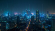 Panorama aerial view in the cityscape skyline with smart services and icons, internet of things, networks and augmented reality concept , night scene .