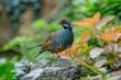 Colorful bird perched on moss-covered rock in serene garden, surrounded by vibrant greenery and blurred background, isolated on colorful backdrop.