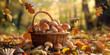 Fungi thrive in a tapestry of fall hues as a bird flying observe nature's dance.