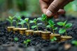 A hand nurturing young plants growing from a progression of stacked coins in soil, symbolizing investment growth.