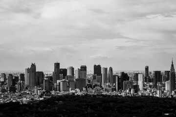  高層ビルから東京都内のビル群をモノクロームで撮影