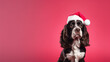 Happy christmas pet dog puppy with santa hat, web banner with copy space on red pink background
