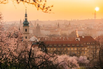 Wall Mural - Pink flowering tree branches and red roofs at dawn in Prague