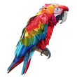 Colorful Low Poly Parrot