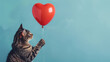 Brown stripped cat holds red heart-shaped balloon on blue background. Valentine's day gift concept. Copy space for text