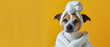 Only the ears and towel-wrapped body of a dog visible, creating a humorous and curious image