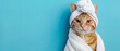Serene cat wrapped in a soft towel and bathrobe, radiating calmness and comfort on a soothing background