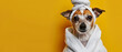A funny yet serene dog poised in a white bathrobe against a vivid yellow backdrop, effortlessly blending humor with tranquility