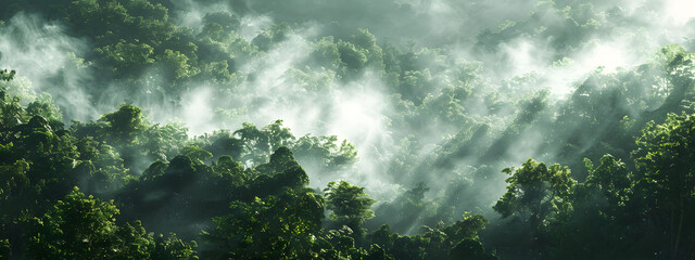 Wall Mural - Panoramic view of misty rainforest trees with fog and rays, showcasing the natural beauty of a lush tropical rainforest canopy. Drone view with copy space.