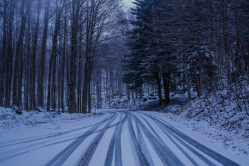 A serene winter landscape captures a snowy road with tire tracks and snow-laden trees lining the path