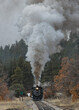 Vintage Steam Train Billowing Smoke and Steam as it Moves Through the Mountains.on a cold and snowy day.